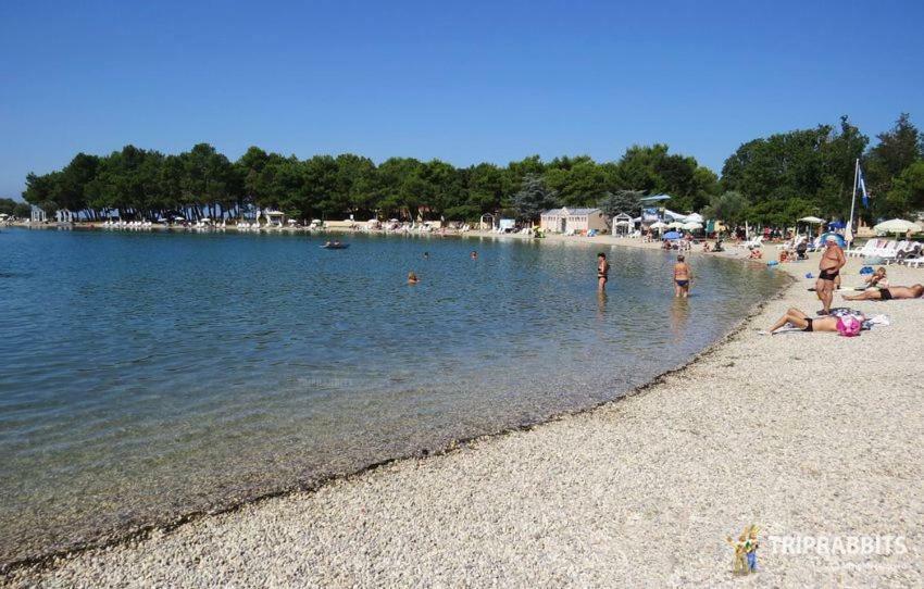 Apartmán Kuca Za Odmor Petra Cepljani Exteriér fotografie